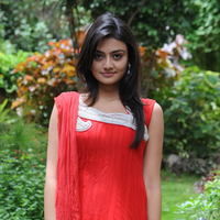 Nikitha Narayan New Pictures | Picture 68833